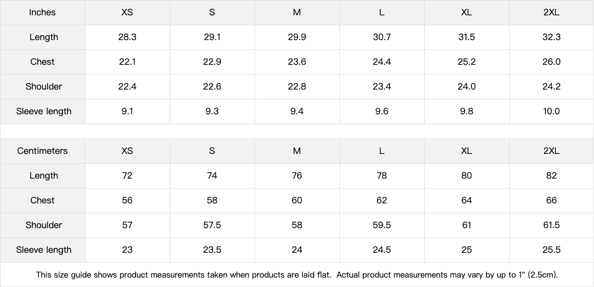 Exact garment measurements for T3 | THE SUPER Tee — Penguin Diversification | 305GSM Oversized | REKTWEAR